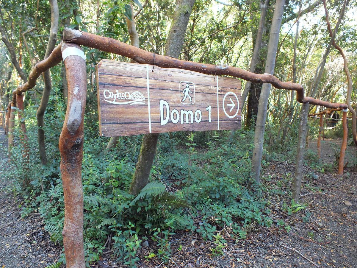 Cuyinco Domos Villa Rininahue Екстериор снимка